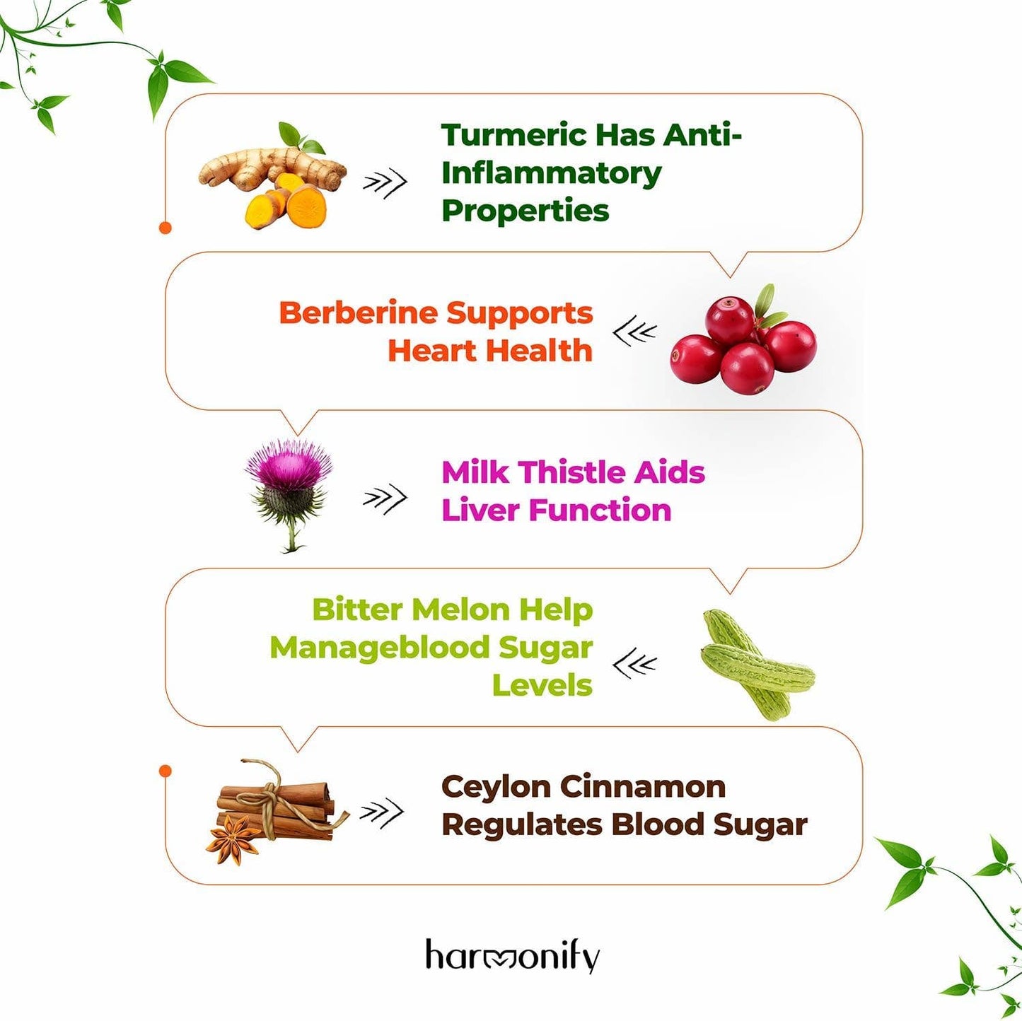 HARMONIFY - HARMONIFY Berberine with Ceylon Cinnamon, Pure Turmeric, Milk Thistle Bitter Melon, 5 in 1 Formula, 120 Purified Veggie Capsule 1000 mg | Gluten Free, Non-GMO