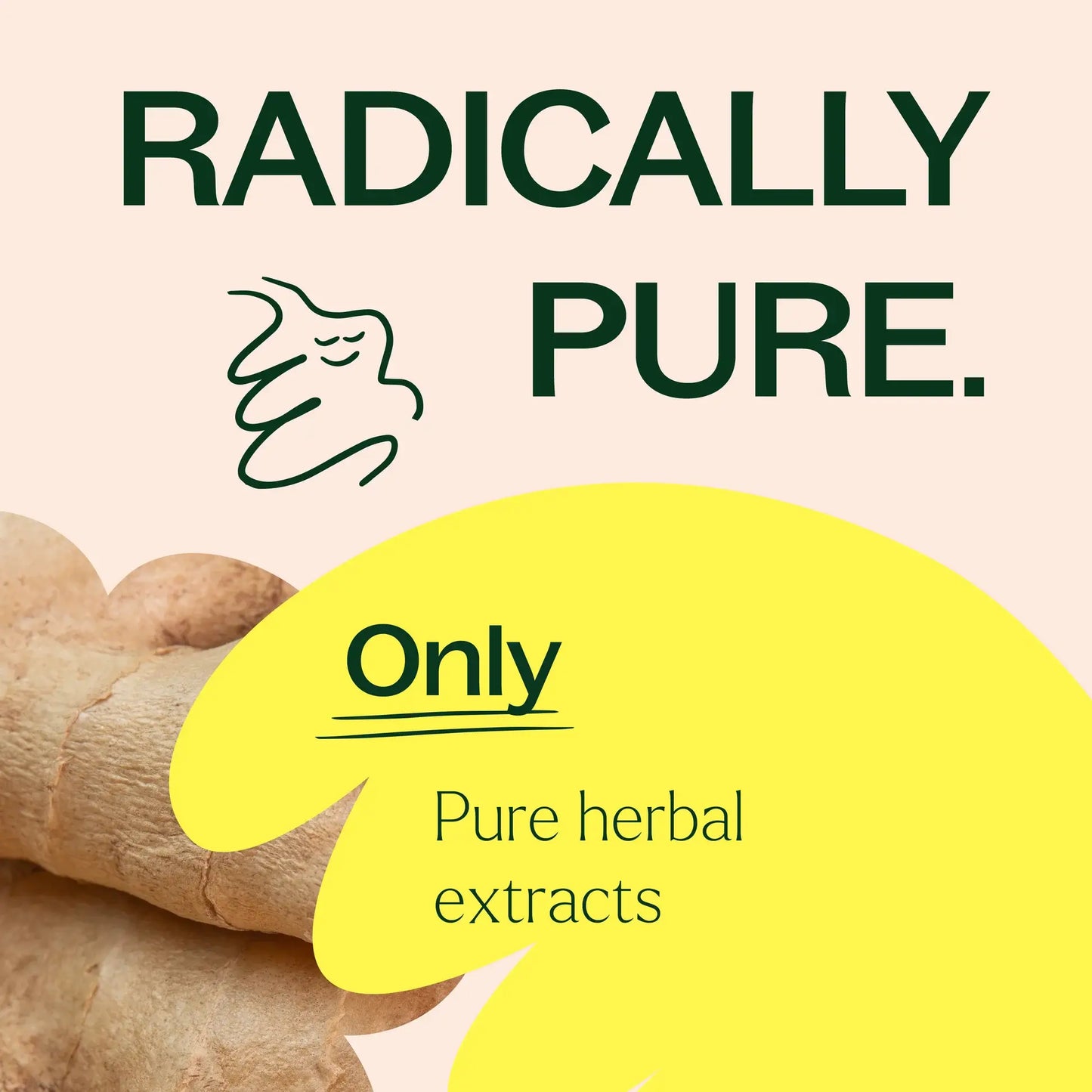 Plant Therapy - Ginger Root Herbal Supplement Capsules-120 Capsules