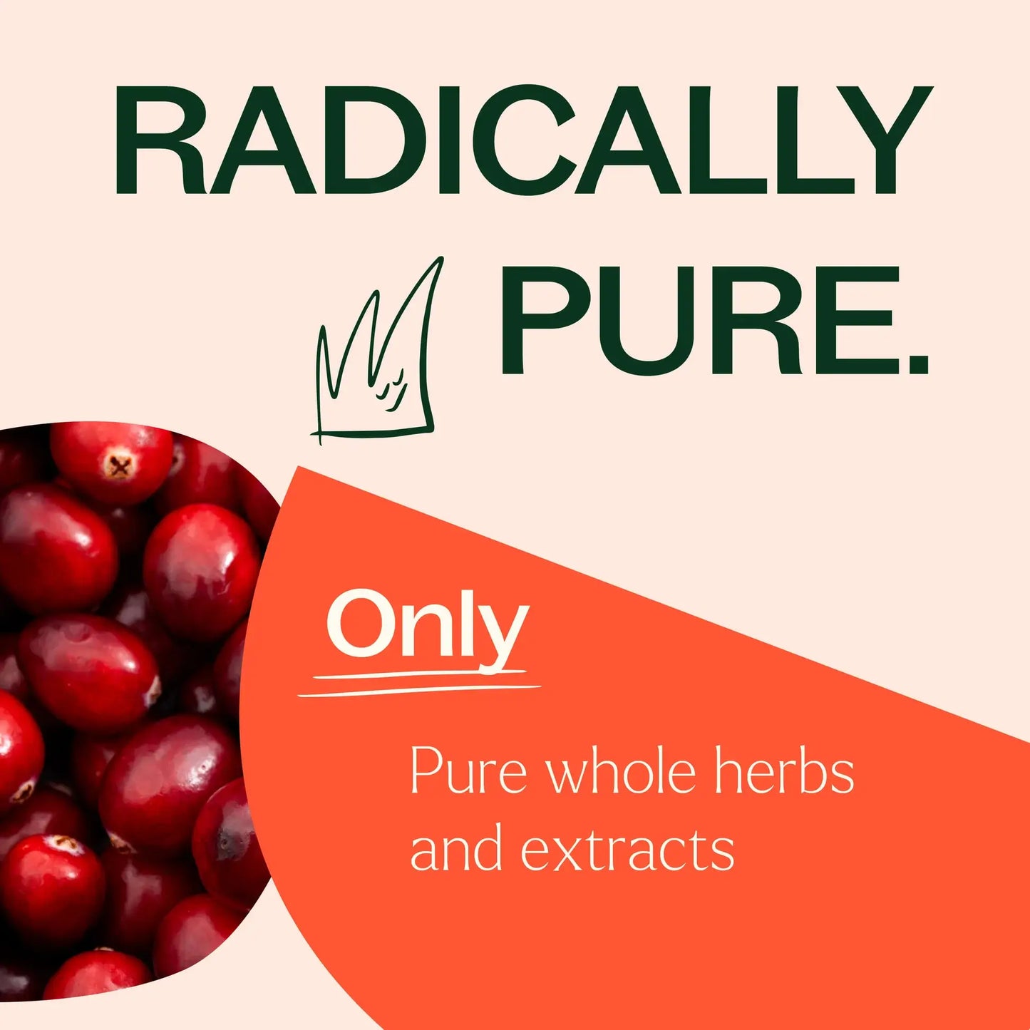 Plant Therapy - Cranberry Extract with Vitamin C Herbal 120 Capsules