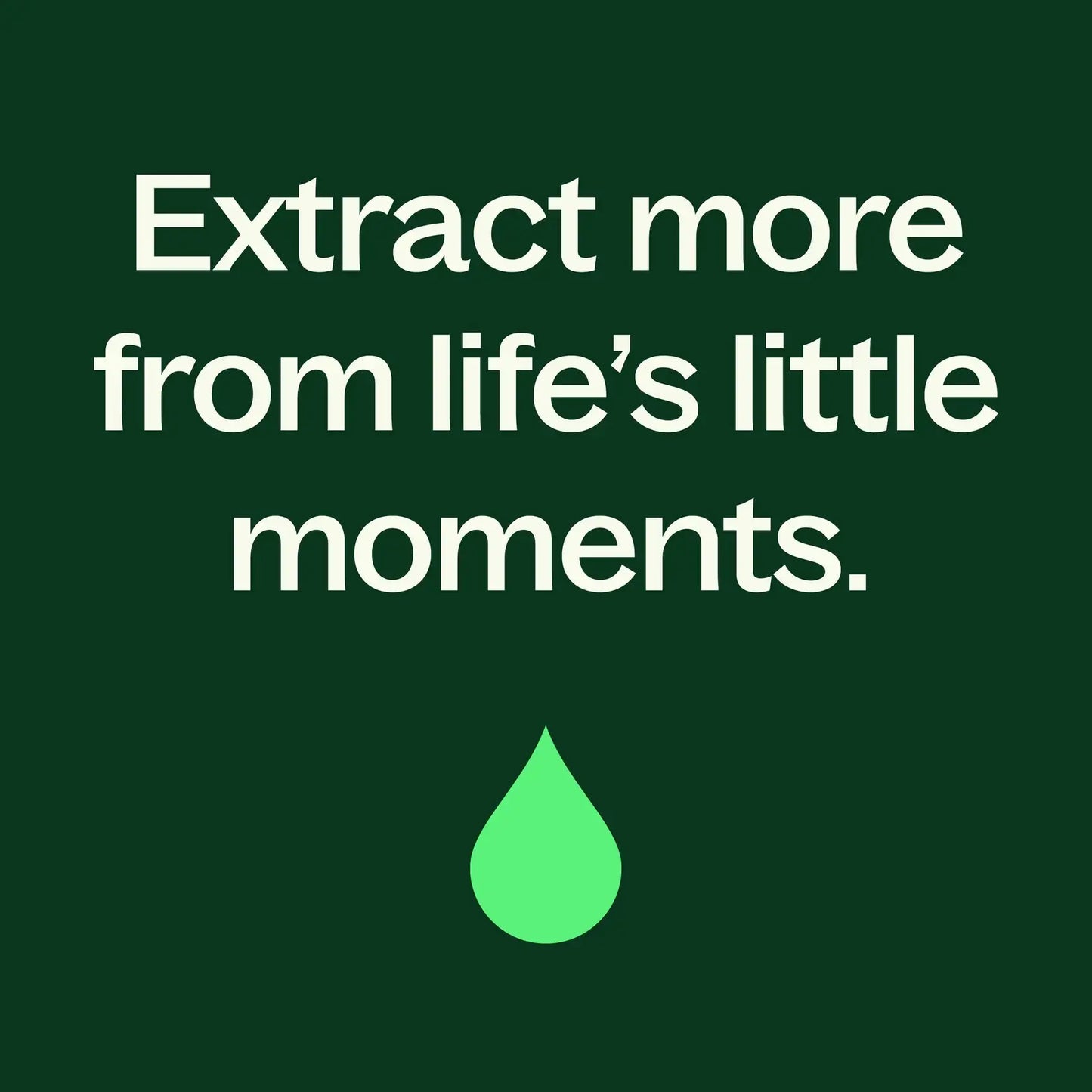Plant Therapy - Organic Cinnamon Cassia Essential Oil 10mL