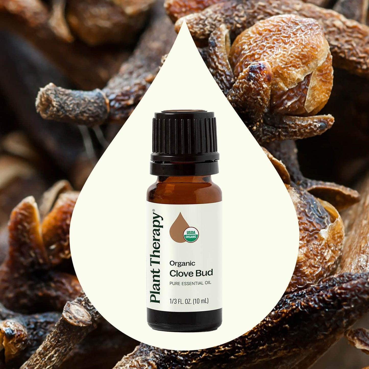 Plant Therapy - Organic Clove Bud Essential Oil 10 mL