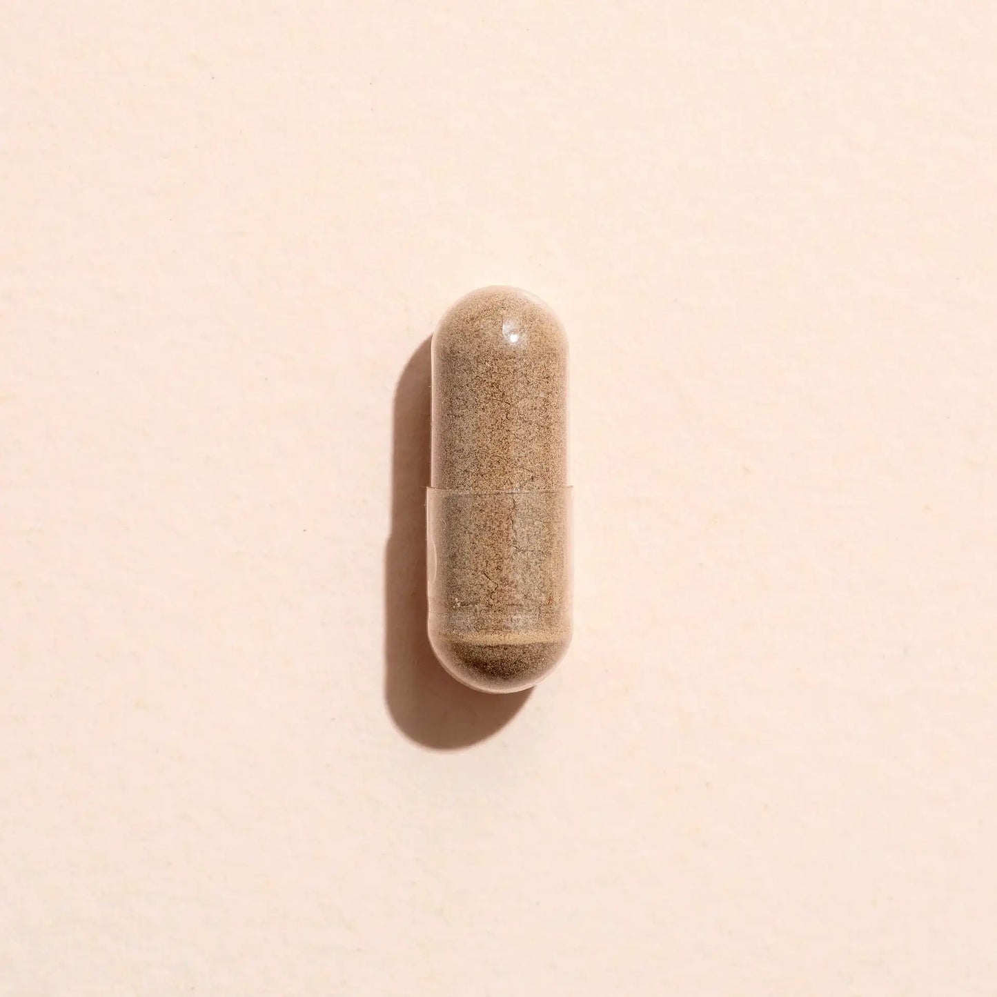 Plant Therapy - Moringa Herbal Supplement Capsules-120 Capsules