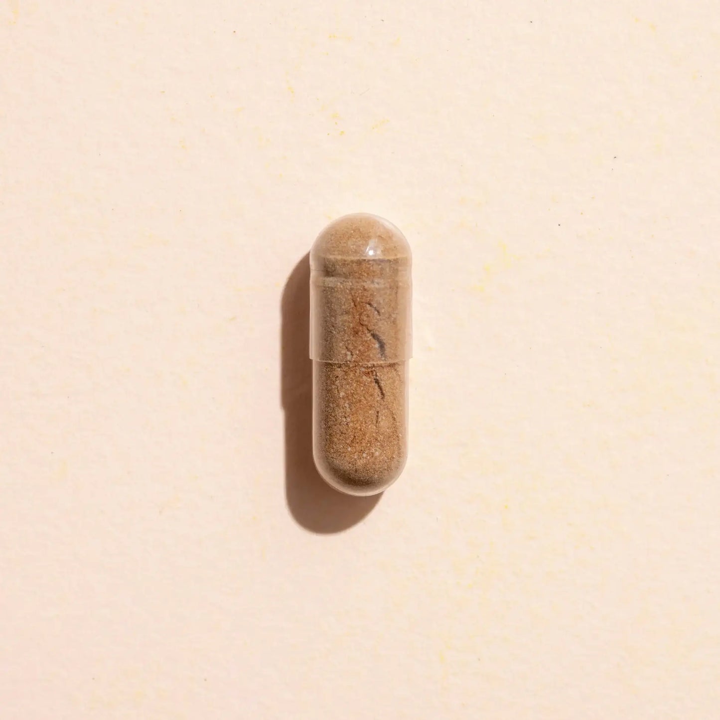 Plant Therapy - Lion's Mane Herbal Supplement Capsules-120 Capsules