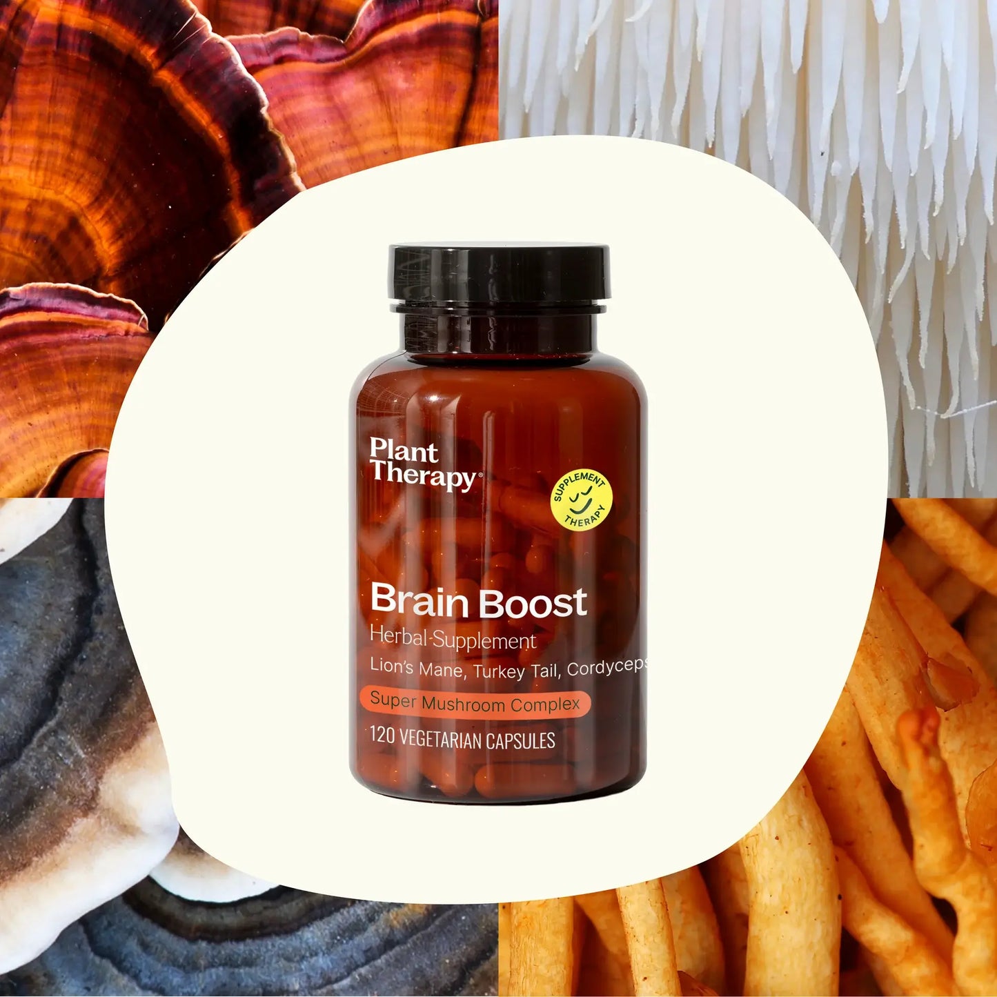 Plant Therapy - Brain Boost Herbal Supplement Capsules 120 Capsules