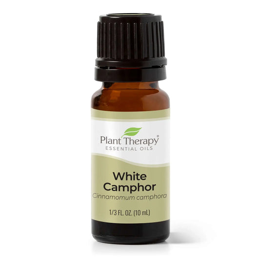 Plant Therapy - White Camphor Essential Oil 10mL