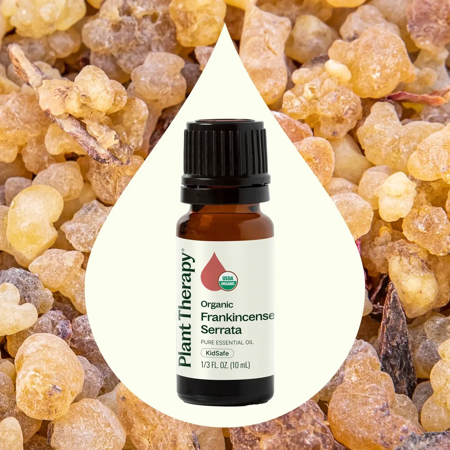 Plant Therapy - Organic Frankincense Serrata Essential Oil 10 mL