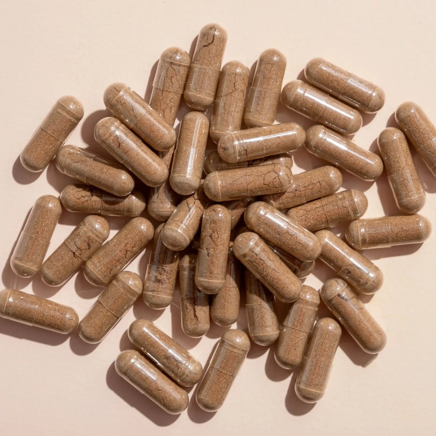 Plant Therapy - Lion's Mane Herbal Supplement Capsules-120 Capsules