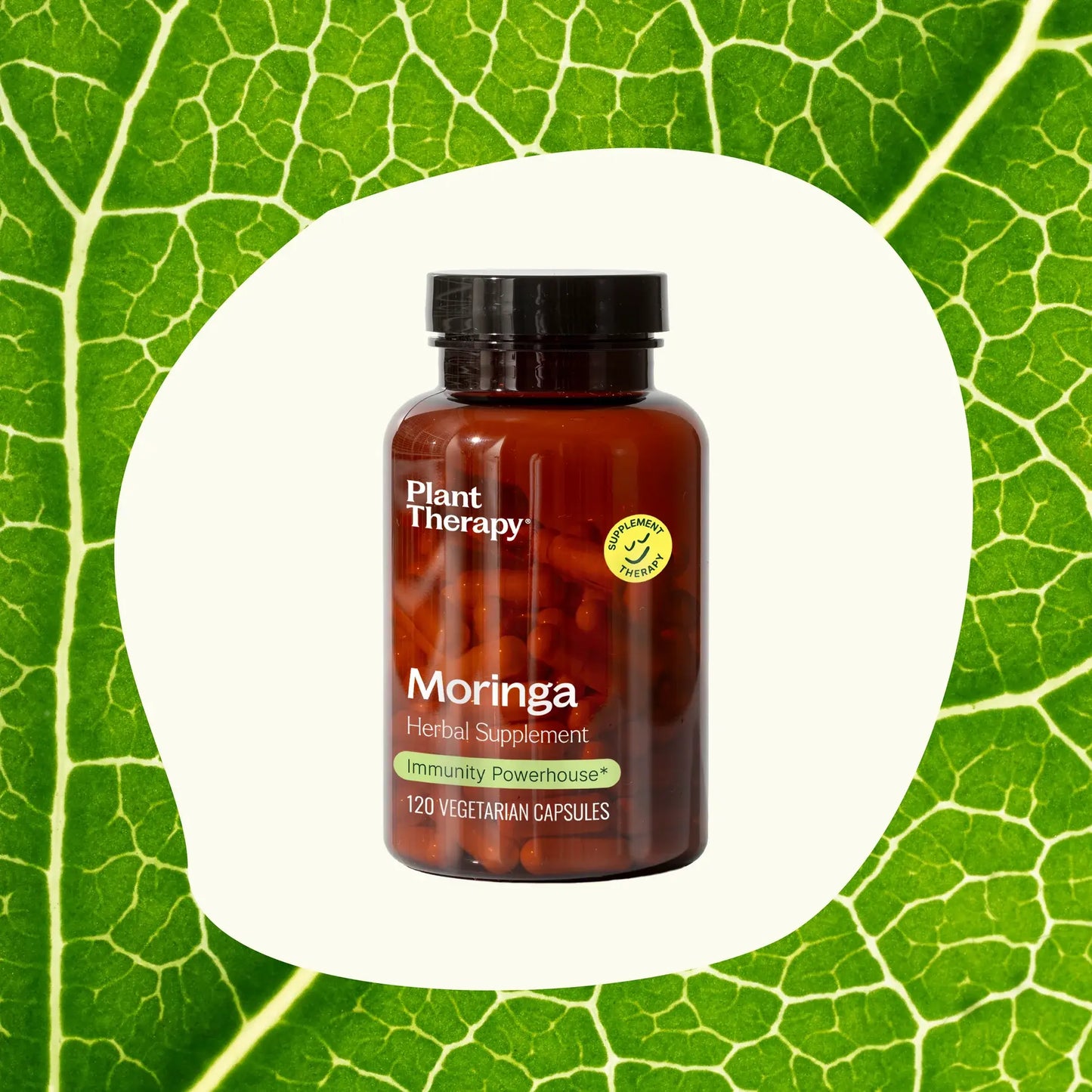 Plant Therapy - Moringa Herbal Supplement Capsules-120 Capsules