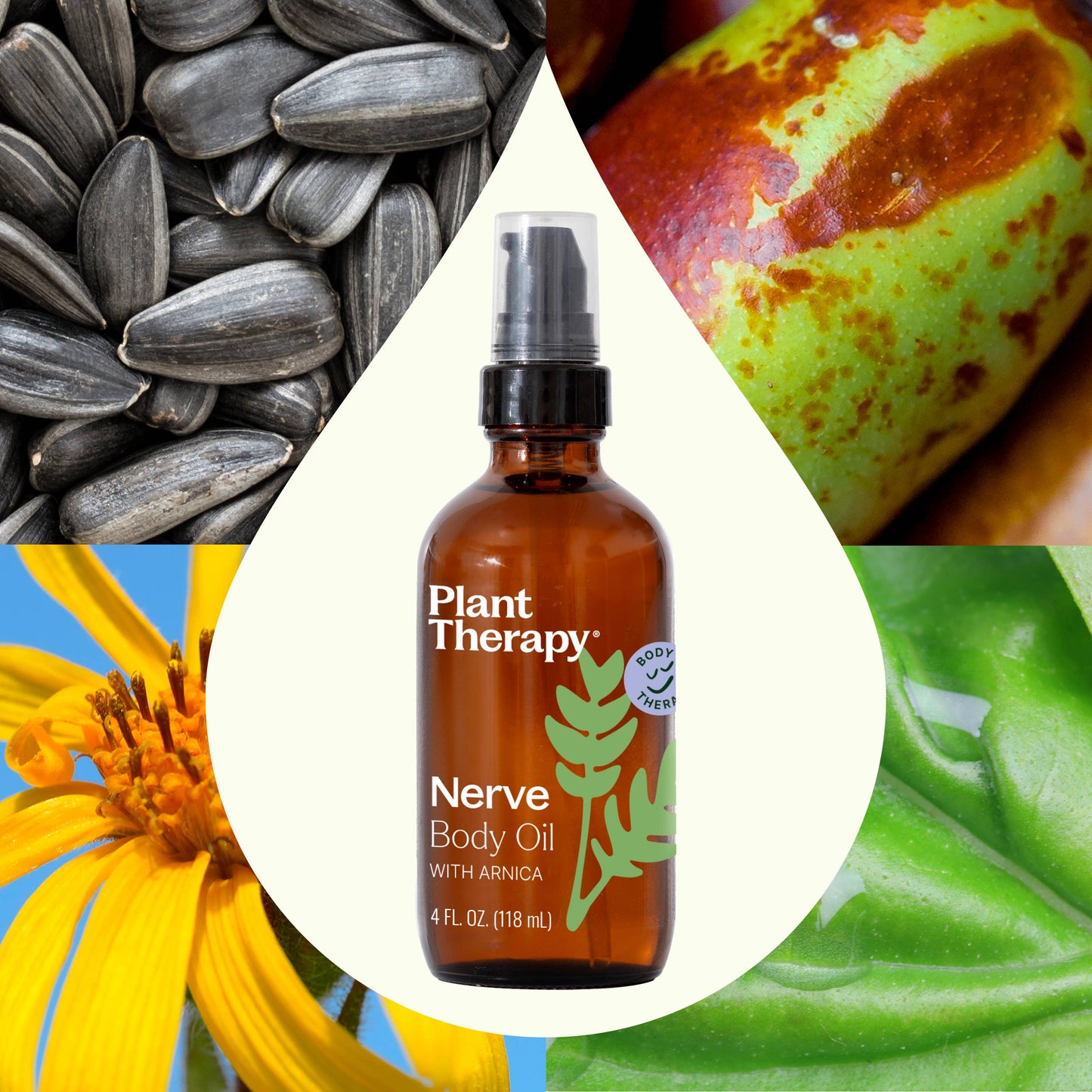 Plant Therapy - Nerve Body Oil with Arnica 4 oz