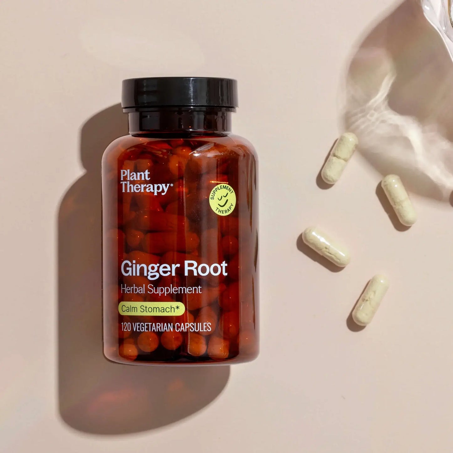 Plant Therapy - Ginger Root Herbal Supplement Capsules-120 Capsules