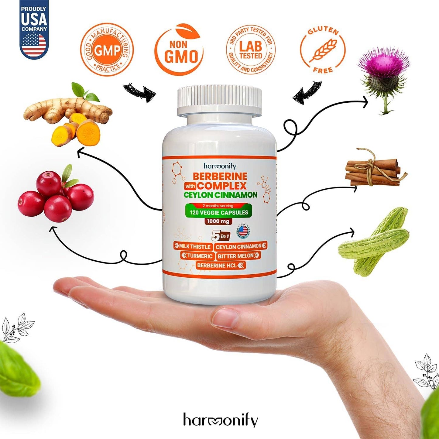 HARMONIFY - HARMONIFY Berberine with Ceylon Cinnamon, Pure Turmeric, Milk Thistle Bitter Melon, 5 in 1 Formula, 120 Purified Veggie Capsule 1000 mg | Gluten Free, Non-GMO