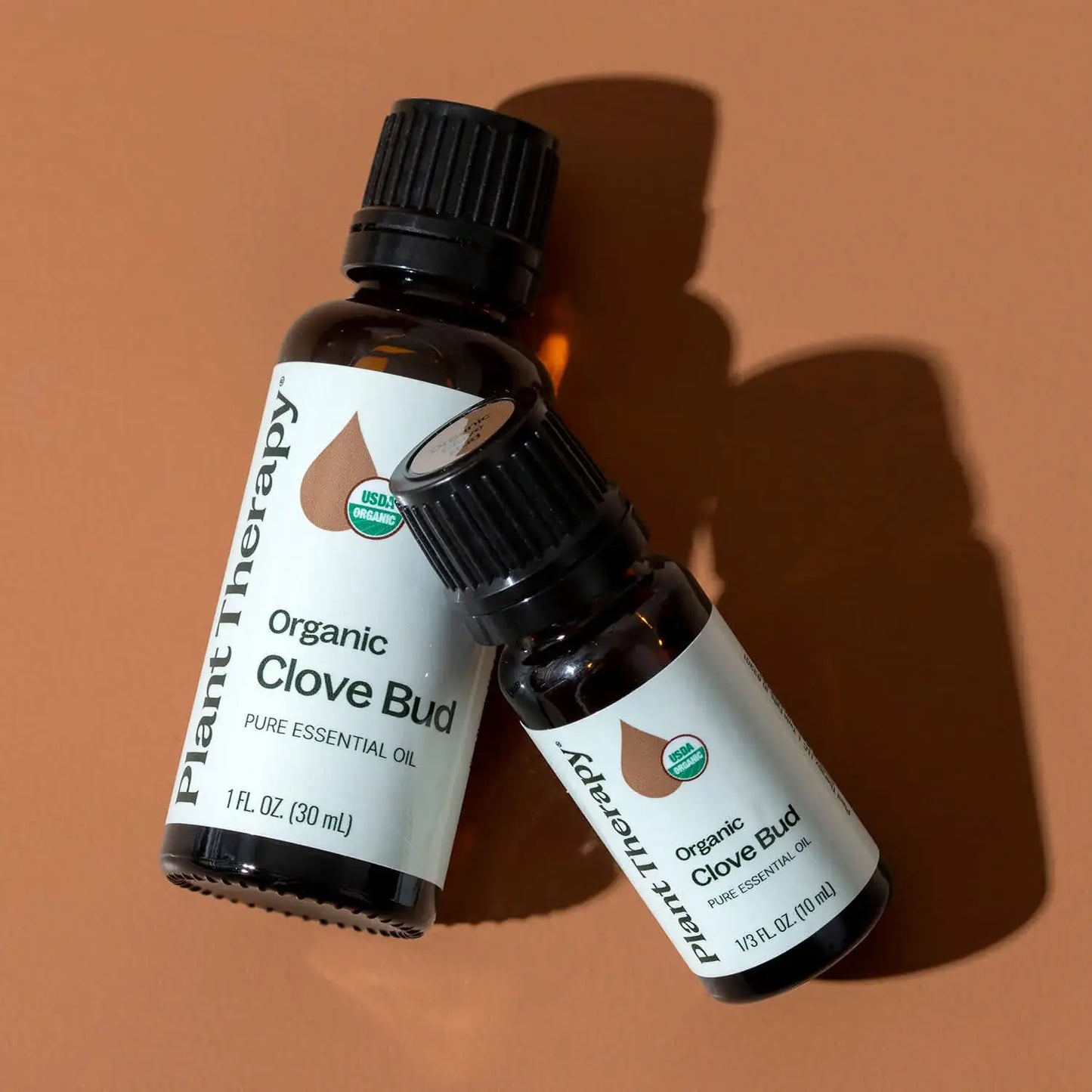Plant Therapy - Organic Clove Bud Essential Oil 10 mL