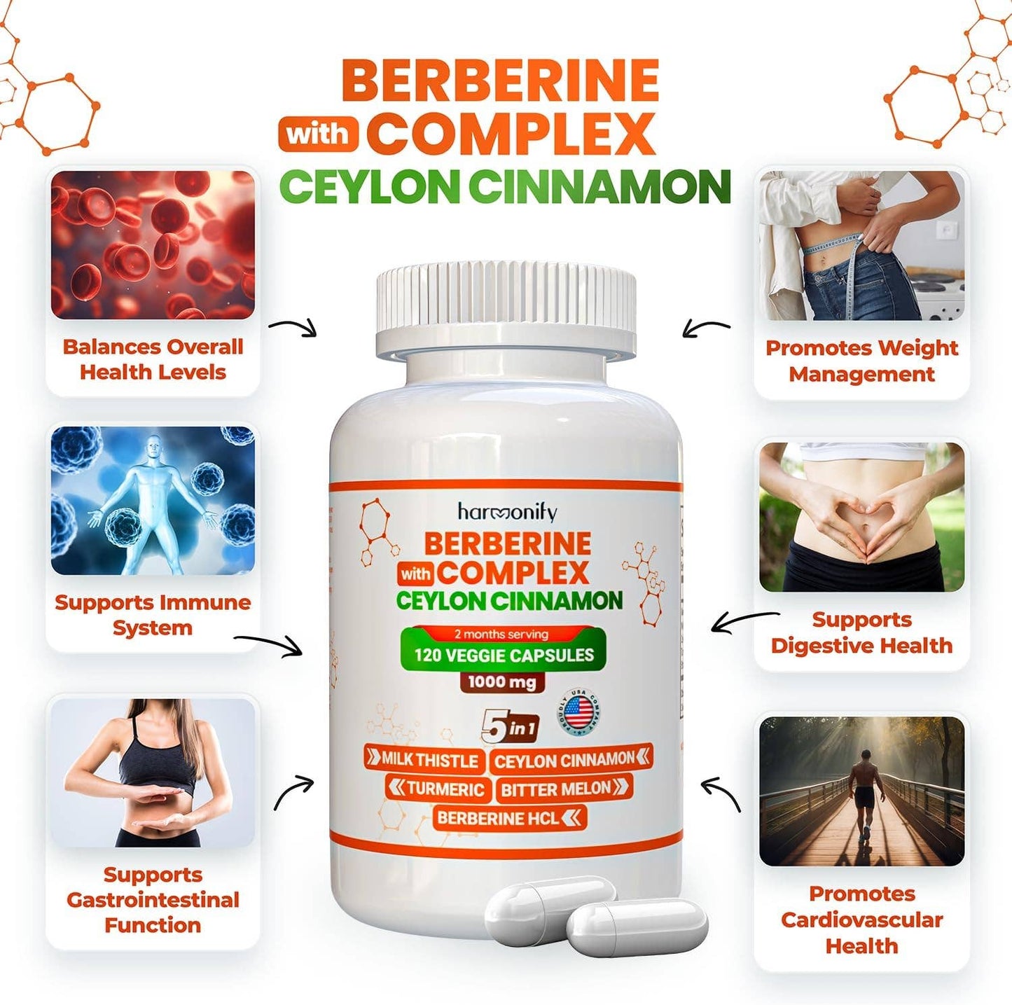 HARMONIFY - HARMONIFY Berberine with Ceylon Cinnamon, Pure Turmeric, Milk Thistle Bitter Melon, 5 in 1 Formula, 120 Purified Veggie Capsule 1000 mg | Gluten Free, Non-GMO