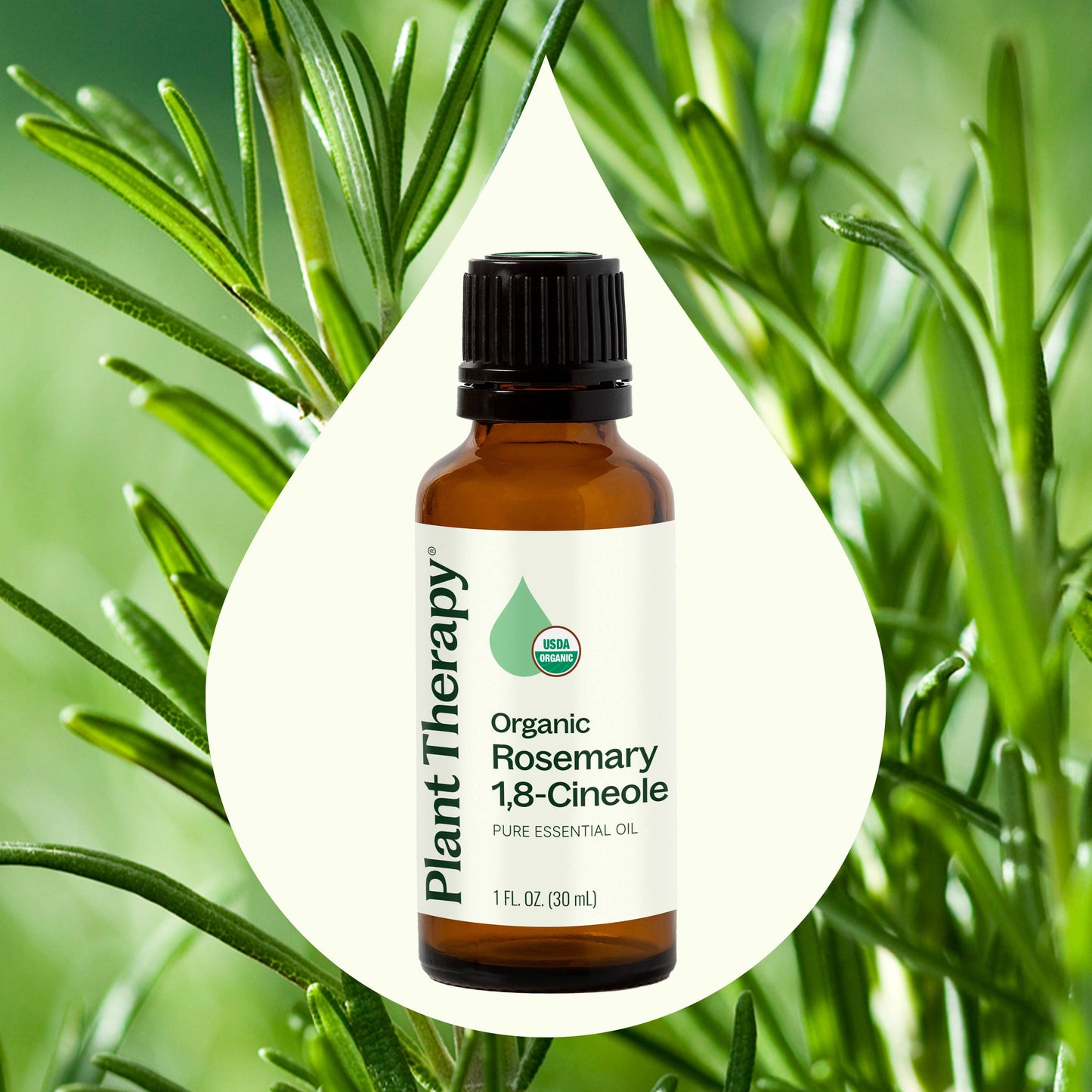Plant Therapy - Organic Rosemary 1,8-Cineole Essential Oil 30 mL