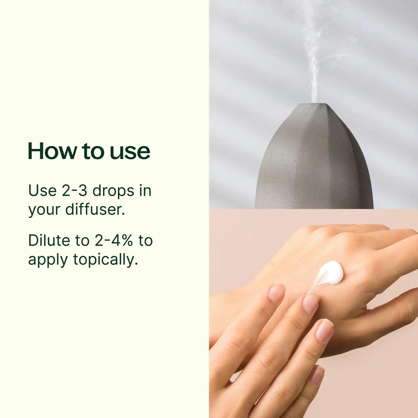 Plant Therapy - Organic Rosemary 1,8-Cineole Essential Oil 30 mL