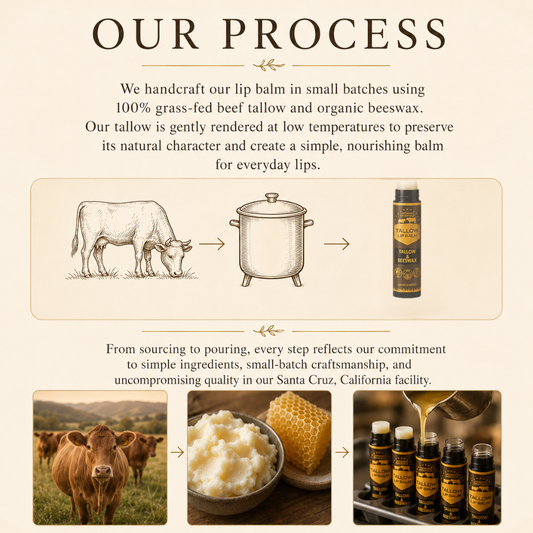 Untamed Organics - Grass-Fed Tallow Lip Balm Peppermint