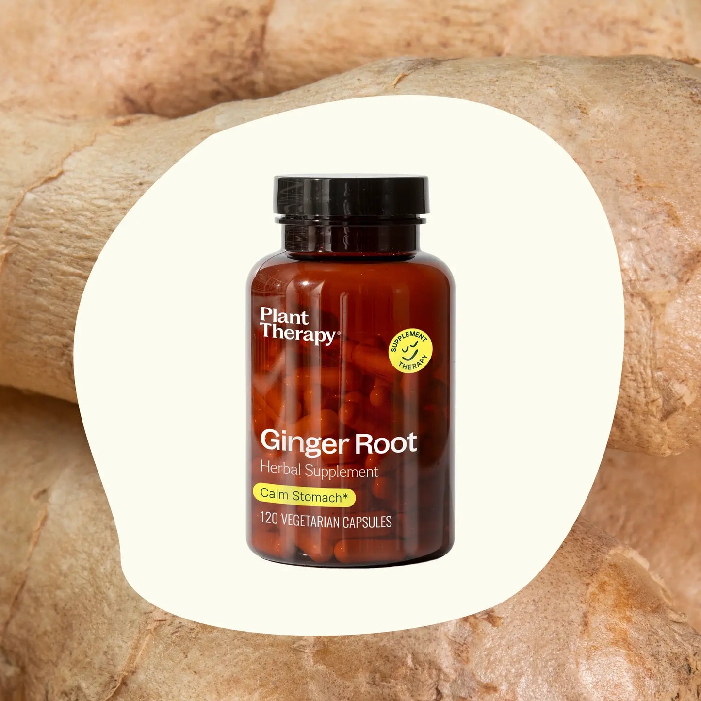 Plant Therapy - Ginger Root Herbal Supplement Capsules-120 Capsules