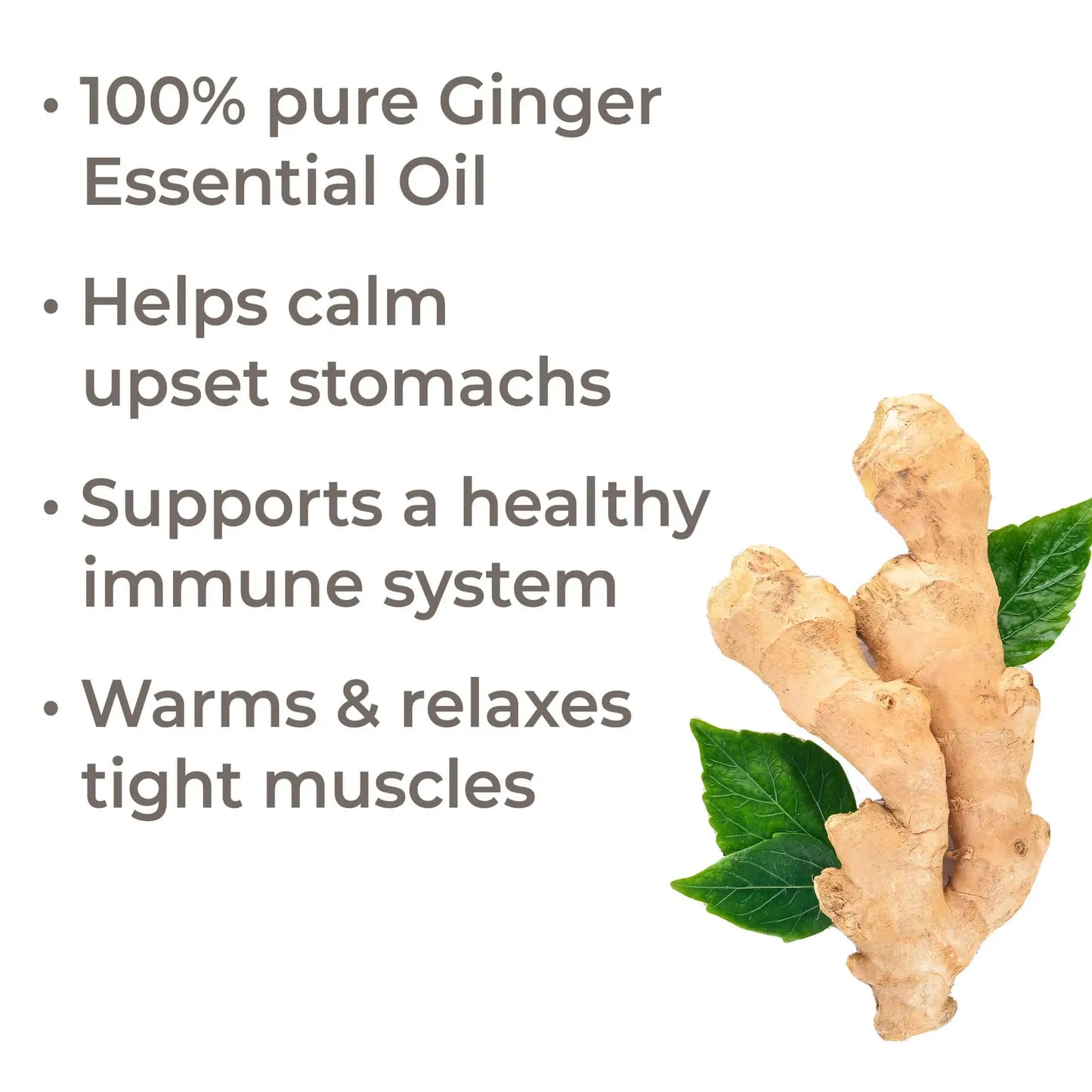 Plant Therapy - Ginger Essential Oil 10 mL