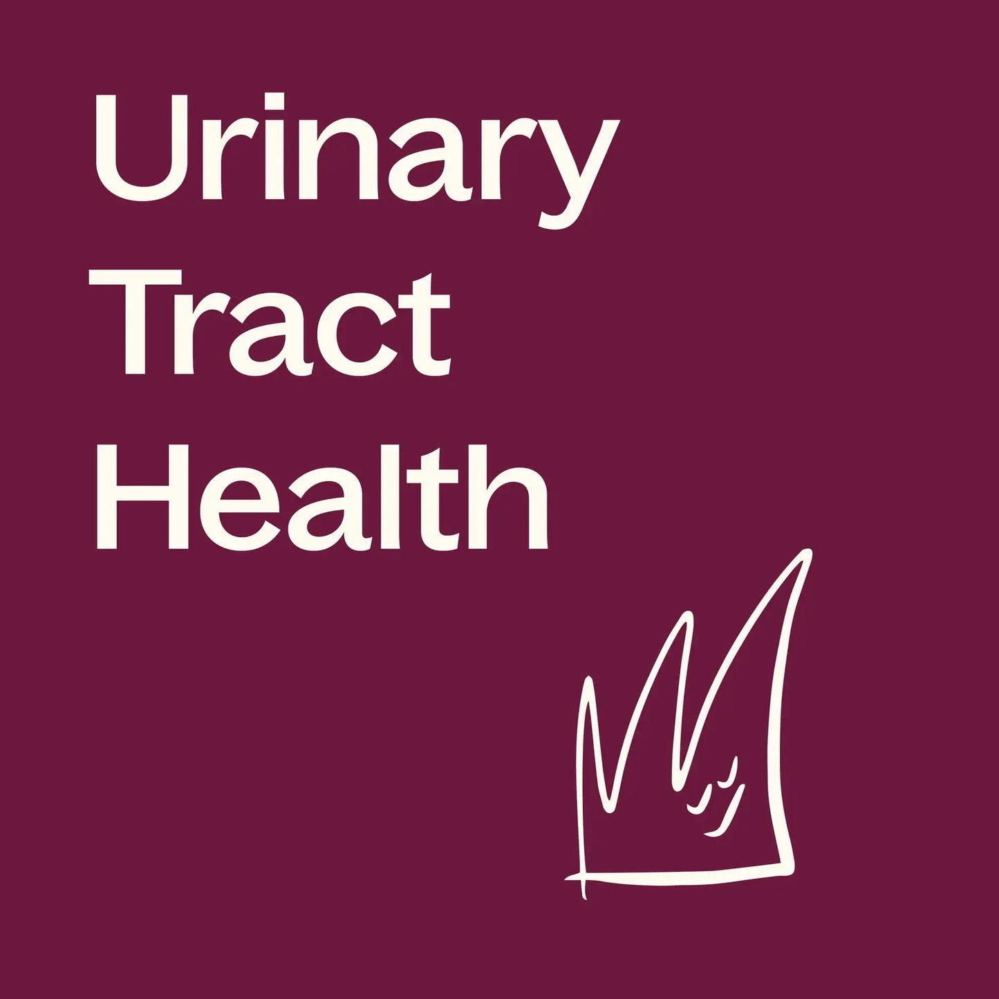 Plant Therapy - Cranberry Extract with Vitamin C Herbal 120 Capsules