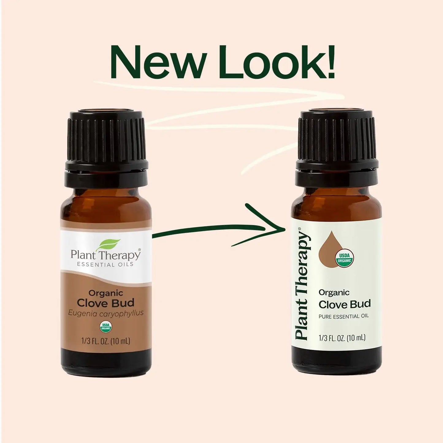 Plant Therapy - Organic Clove Bud Essential Oil 10 mL