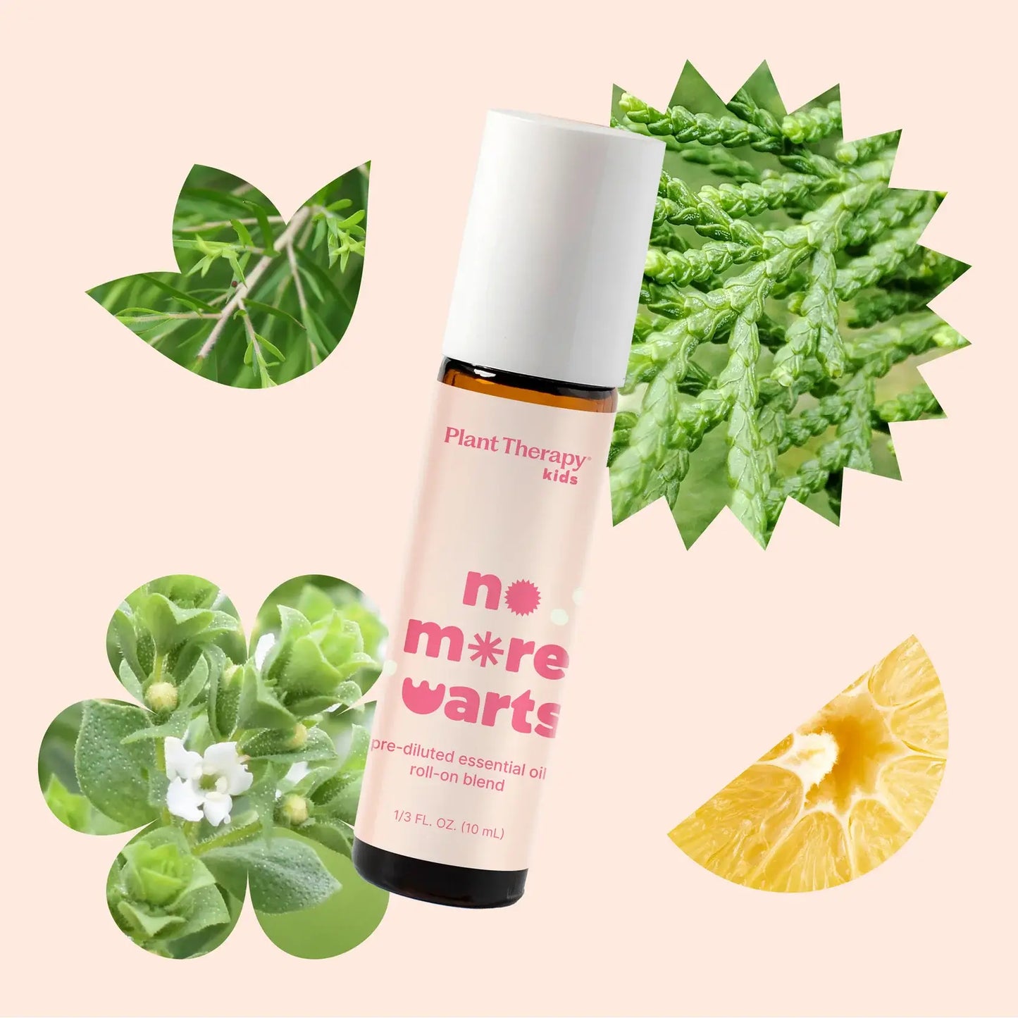 Plant Therapy - No More Warts Kidsafe Essential Oil Pre-Diluted Roll-on 10mL