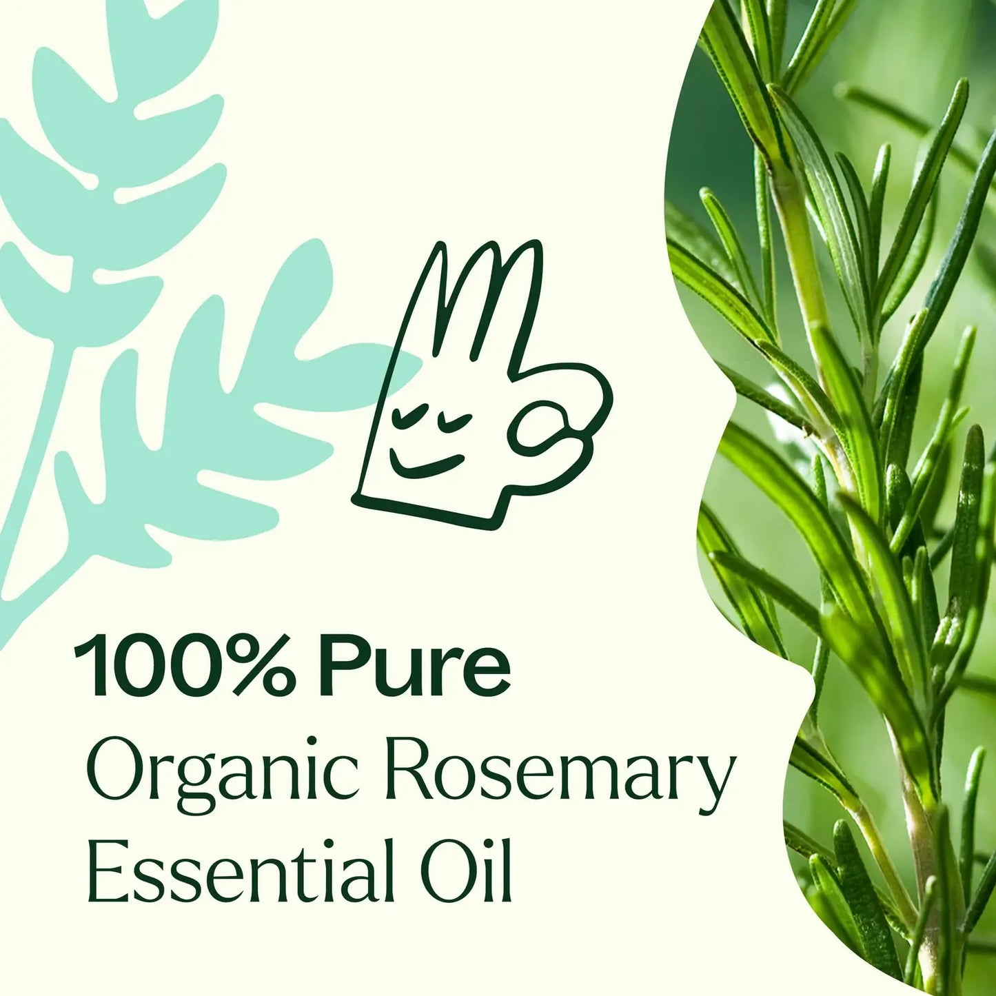 Plant Therapy - Organic Rosemary 1,8-Cineole Essential Oil 30 mL