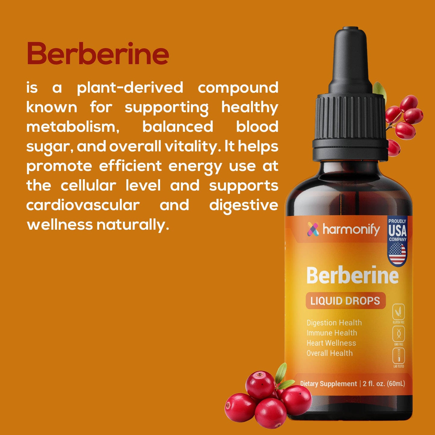 HARMONIFY - HARMONIFY Berberine Liquid Drops 2 fl oz (60 mL)