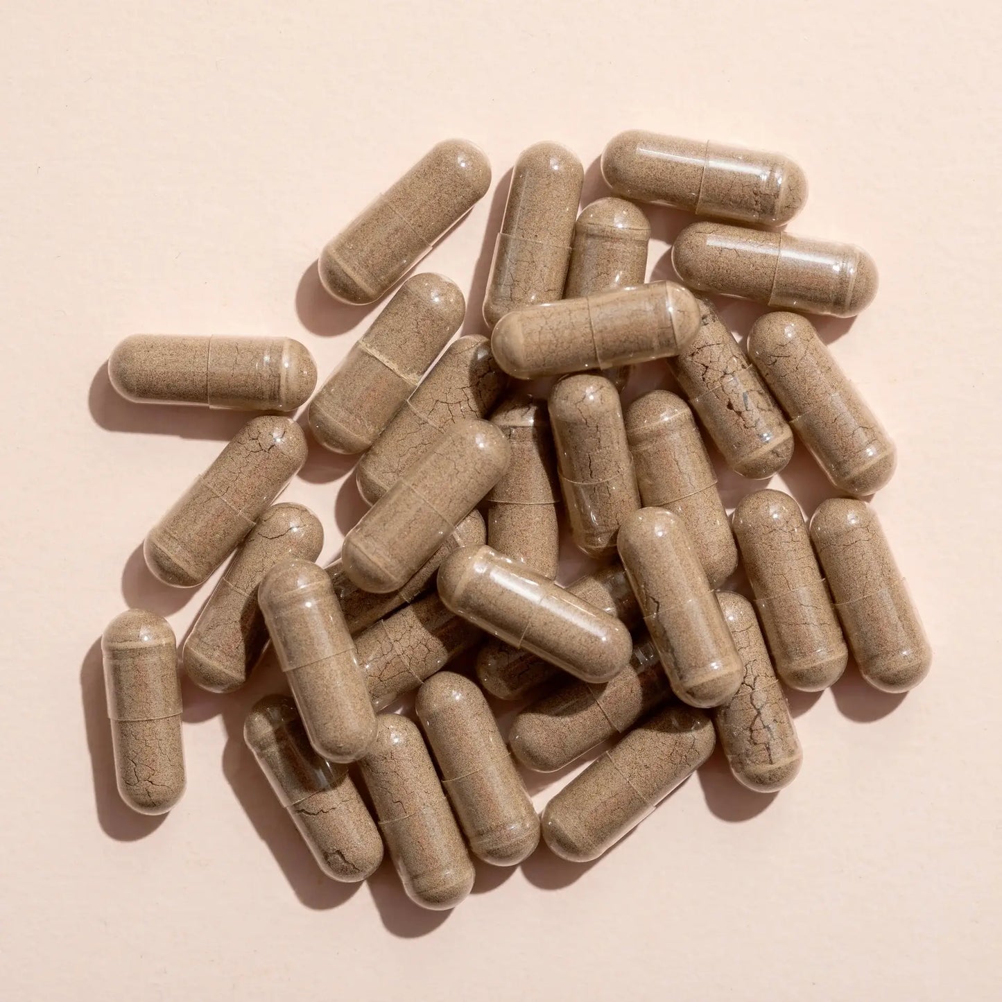 Plant Therapy - Moringa Herbal Supplement Capsules-120 Capsules